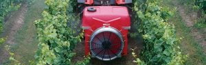 suntuff-in-vineyard_web