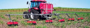 Cane-boom-infield_web