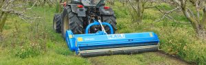 _VKD-IN-FIELD-T20_web