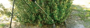 382-052_GUN-in-field_web