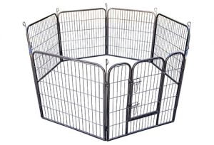 Cage-two_web