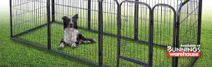 Pet Enclosures – Main Image v1