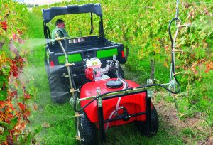 300L vineboom