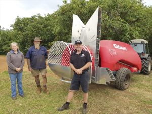 RADAK FOR ROCHE AVOCADOS infield 960×720