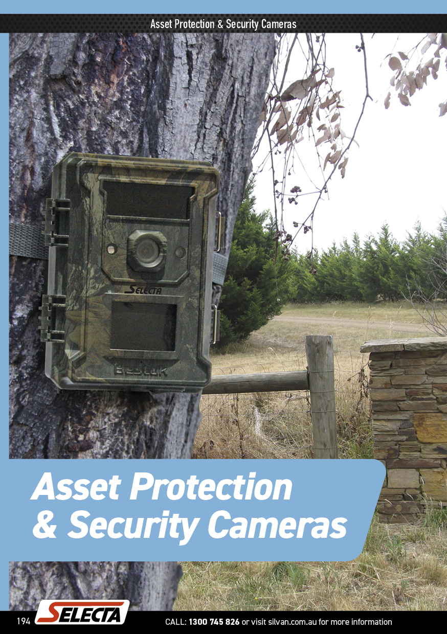 Asset Protection & Security Cameras